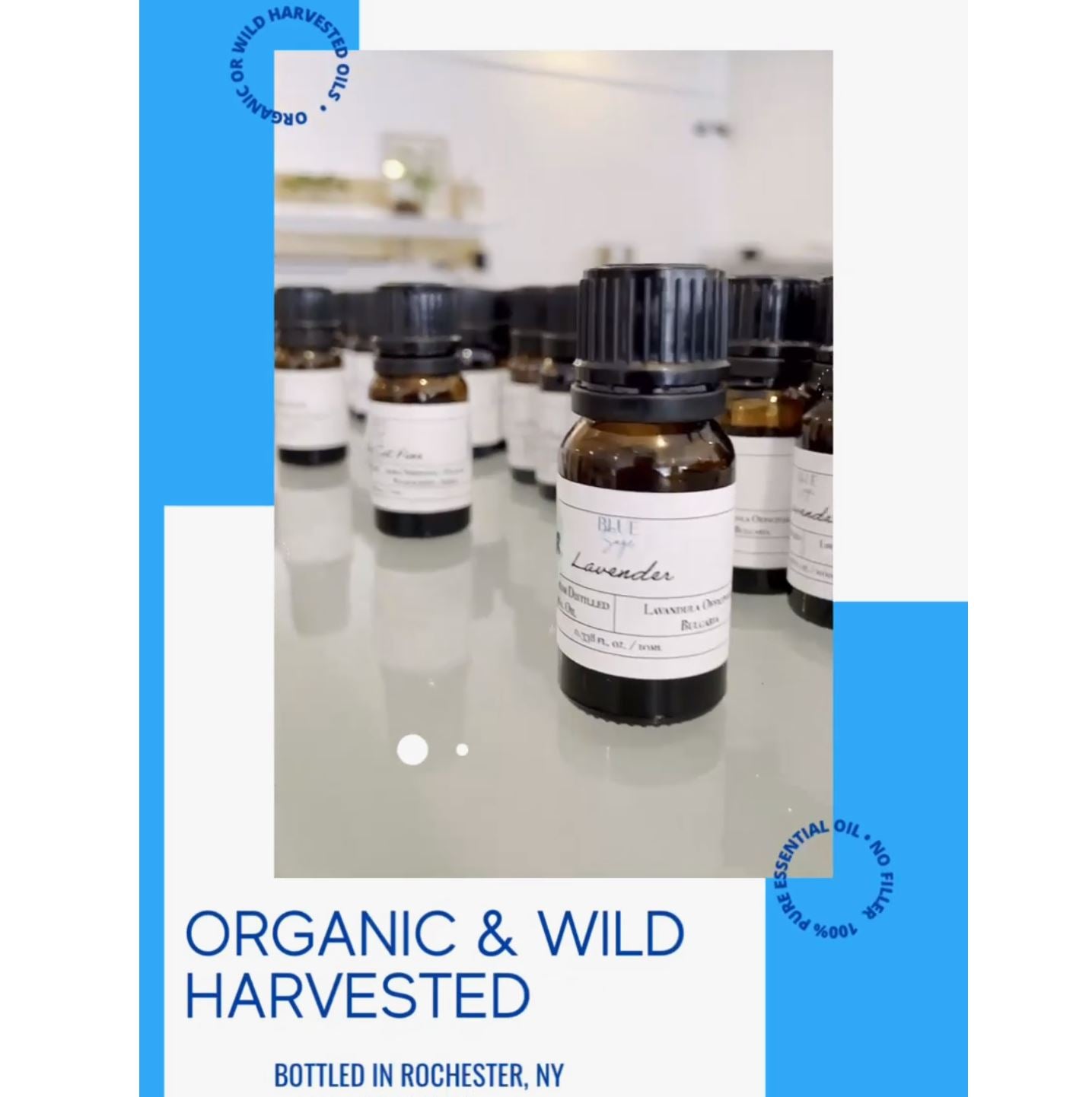 Deep Sleep Organic Essential Oil (10ml)